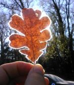 12273704_10208148821537192_3953085389871982918_o